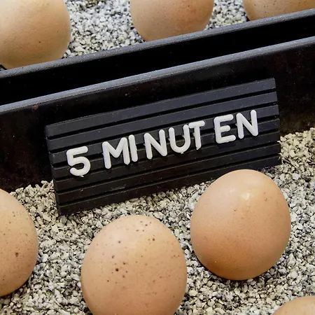 25هاورز داس تور دوسلدورف