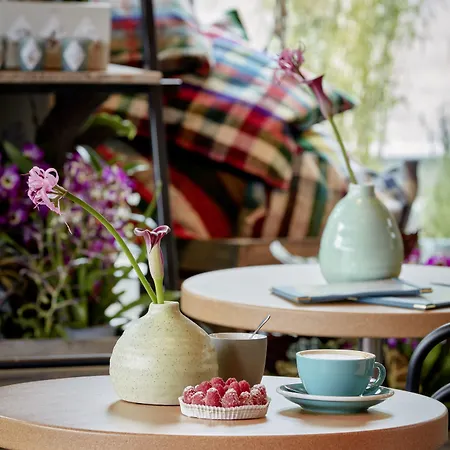 25هاورز داس تور