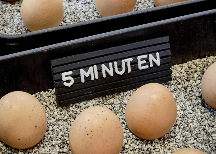 25hours Tour Düsseldorf